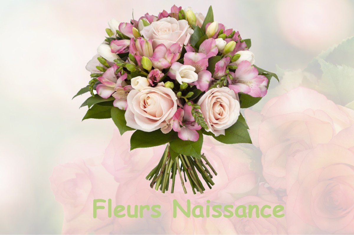 fleurs naissance SEYSSINET-PARISET