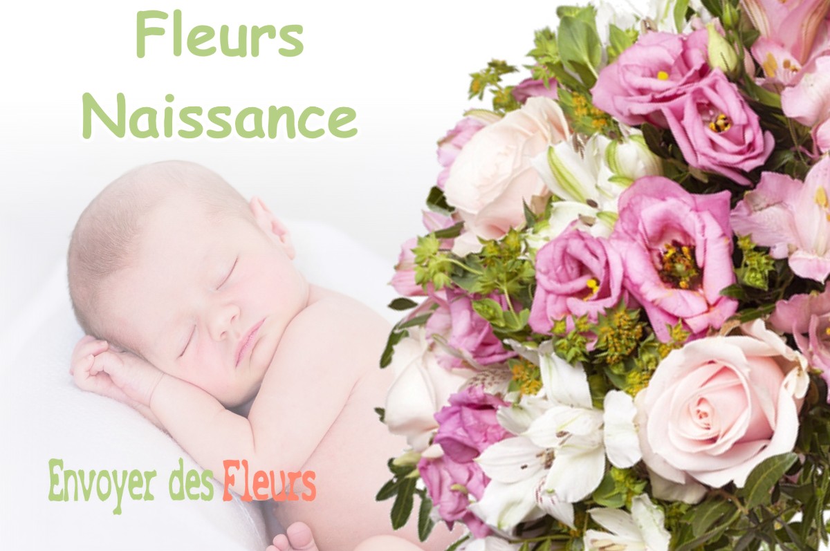 lIVRAISON FLEURS NAISSANCE à SEYSSINET-PARISET